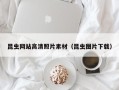 洛阳昆虫网站高清照片素材（昆虫图片下载）